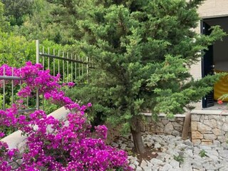 Villa Cara Grabación al aire libre 14