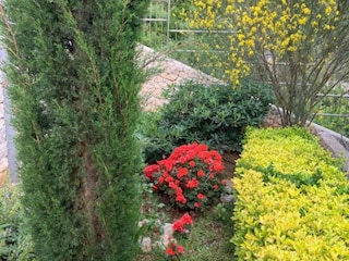 Villa Cara Grabación al aire libre 9