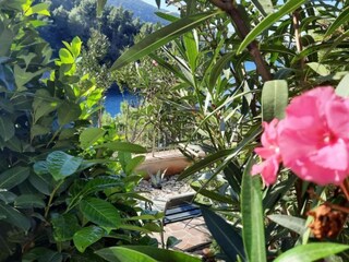 Villa Cara Grabación al aire libre 11