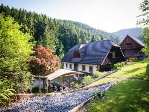 Rustic Authentic Holiday Home with Terrace and Wood Stove - Three Bedroom Holiday Home with Terrace