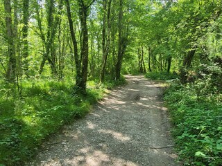 Casa de vacaciones Tolmin Grabación al aire libre 10