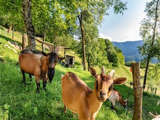 Holiday house Cerkno  23