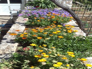 Apartment Mokošica Outdoor Recording 3