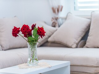 Apartamento Mokošica Características 5