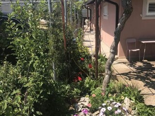 Appartement Umag Enregistrement extérieur 4