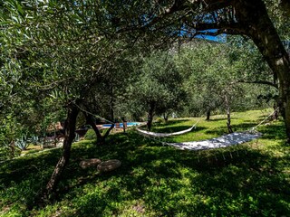 Villa Trstenik Enregistrement extérieur 7