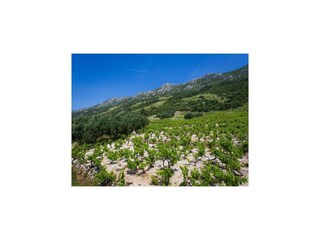 Appartamento Potomje  17