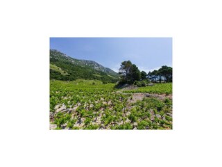 Apartamento Potomje  14