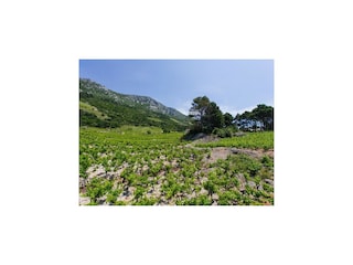 Apartment Potomje  15