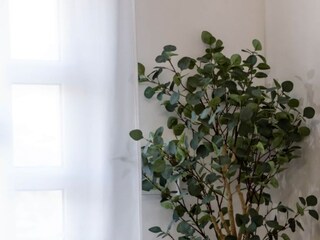 Villa Dubrovnik Registrazione all'aperto 5