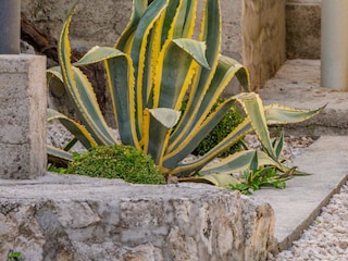 Villa Dubrovnik Außenaufnahme 8