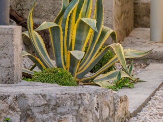 Villa Dubrovnik Grabación al aire libre 15