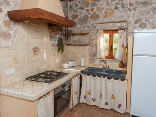 Finca Campanet Características 20
