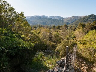 Finca Campanet Entorno 25
