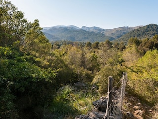 Finca Campanet Environnement 24