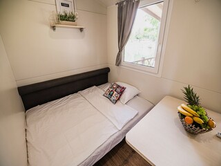 Rulot Catez ob Savi Características 6