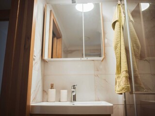 Casa per le vacanze Pišece Caratteristiche 16
