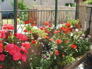Apartamento Pakostane Grabación al aire libre 1