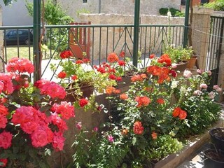 Apartamento Pakostane Grabación al aire libre 18