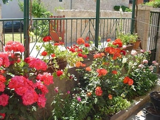 Apartamento Pakostane Grabación al aire libre 6