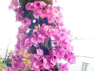 Appartement Pakostane Enregistrement extérieur 19