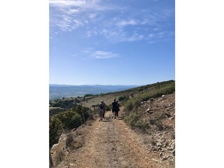 Appartamento per vacanze Ferrals-les-Corbières Ambiente 18