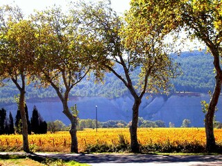 Vakantieappartement Ferrals-les-Corbières Omgeving 15