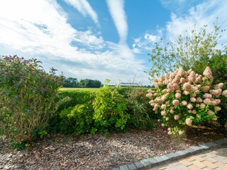 Vakantiehuis Julianadorp  21