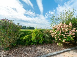 Maison de vacances Julianadorp  21