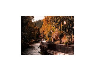 Appartement Polanica Zdroj Environnement 29