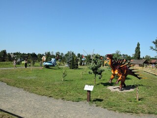 Appartement Dziwnowek Omgeving 27