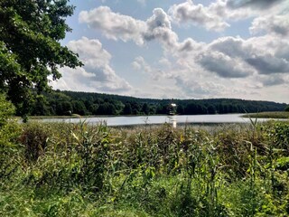 Appartement Kołczewo Omgeving 19