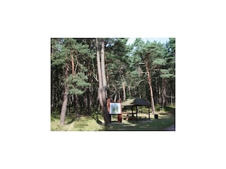 Appartement Kołczewo Omgeving 14