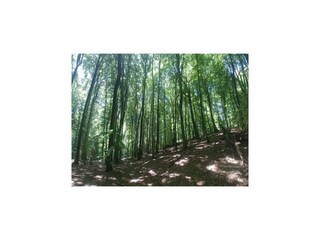 Appartement Kołczewo Omgeving 17
