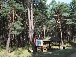 Appartamento Kołczewo Ambiente 21