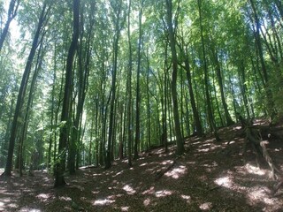 Appartamento Kołczewo Ambiente 22