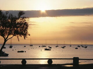 Maison de vacances Le Teich Environnement 9