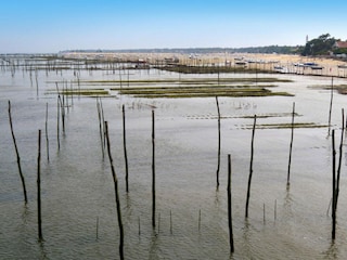 Casa de vacaciones Le Teich  15