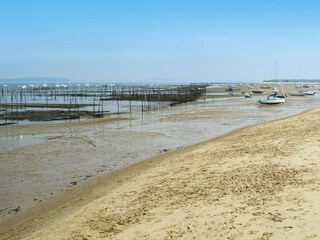 Casa de vacaciones Le Teich Entorno 11