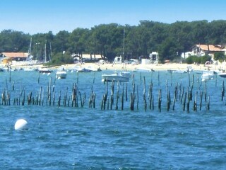 Casa de vacaciones Le Teich Entorno 12