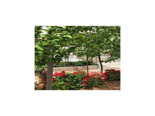 Apartamento Vodice Grabación al aire libre 2