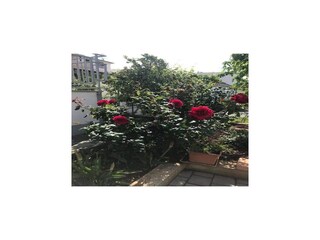 Apartamento Vodice Grabación al aire libre 5