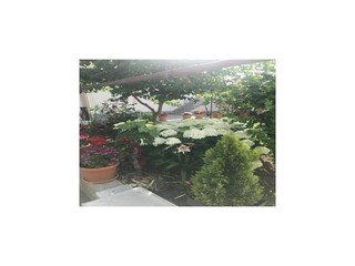 Apartment Vodice Outdoor Recording 11