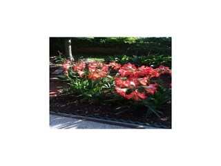 Appartement Vodice Enregistrement extérieur 9