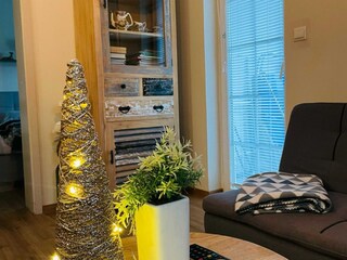 Apartment Pišece Features 1