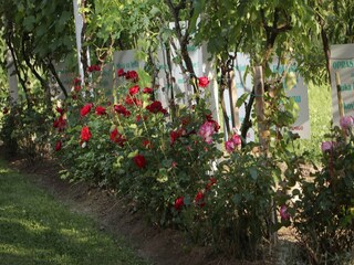 Appartamento Welt Registrazione all'aperto 21