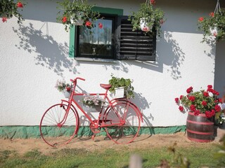 Apartamento Welt Grabación al aire libre 41