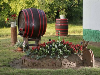 Apartamento Welt Grabación al aire libre 42