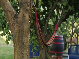 Apartamento Welt Grabación al aire libre 43