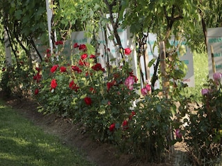 Apartment Welt Outdoor Recording 34